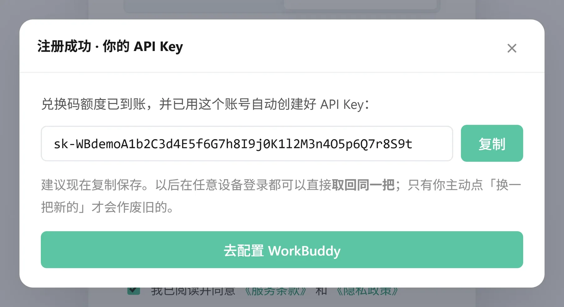 注册成功后的 API Key 卡片
